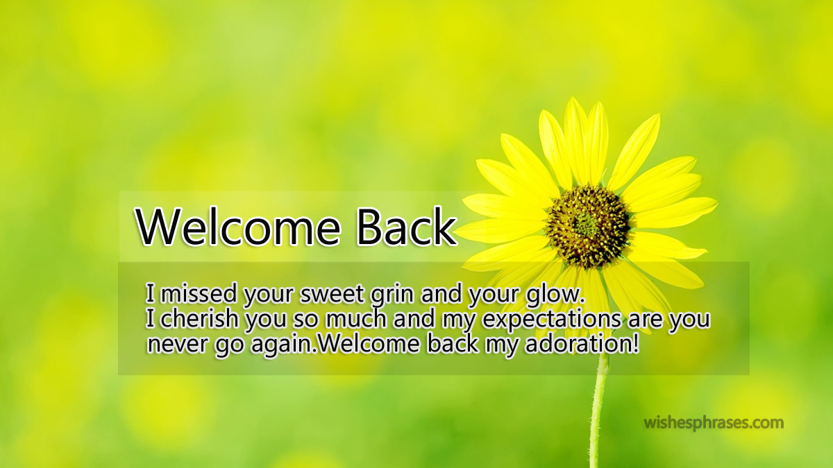 Welcome Back Messages, Quotes For Friends, Special Person